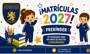 Lee más sobre el artículo Matrículas